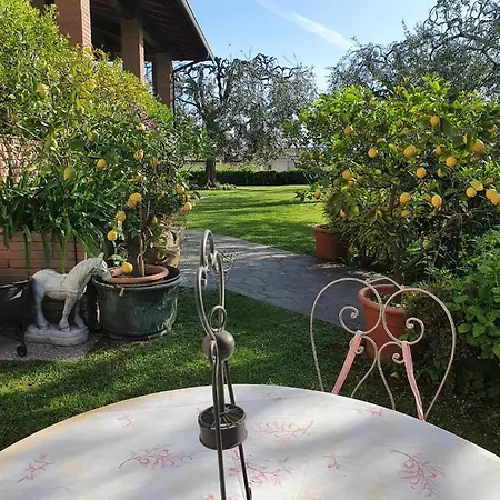Bed and Breakfast Ulivi