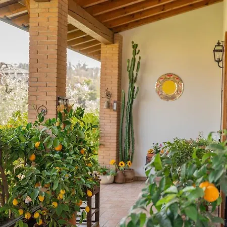 Ulivi Bed and Breakfast